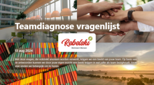 Rebelski Teamdiagnose