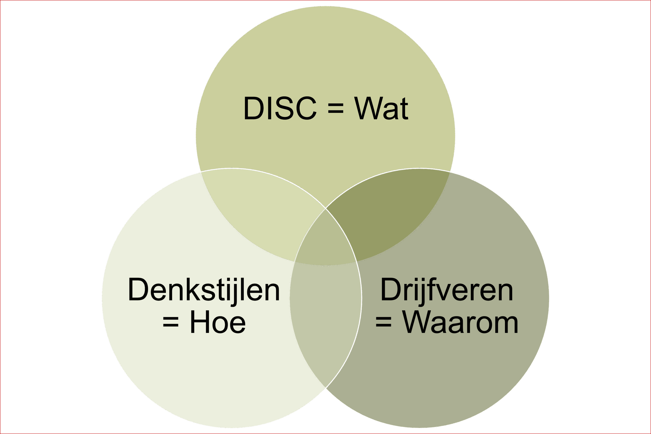 DISC-Denkstijlen-Drijfveren